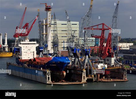 damen shipyard rotterdam.